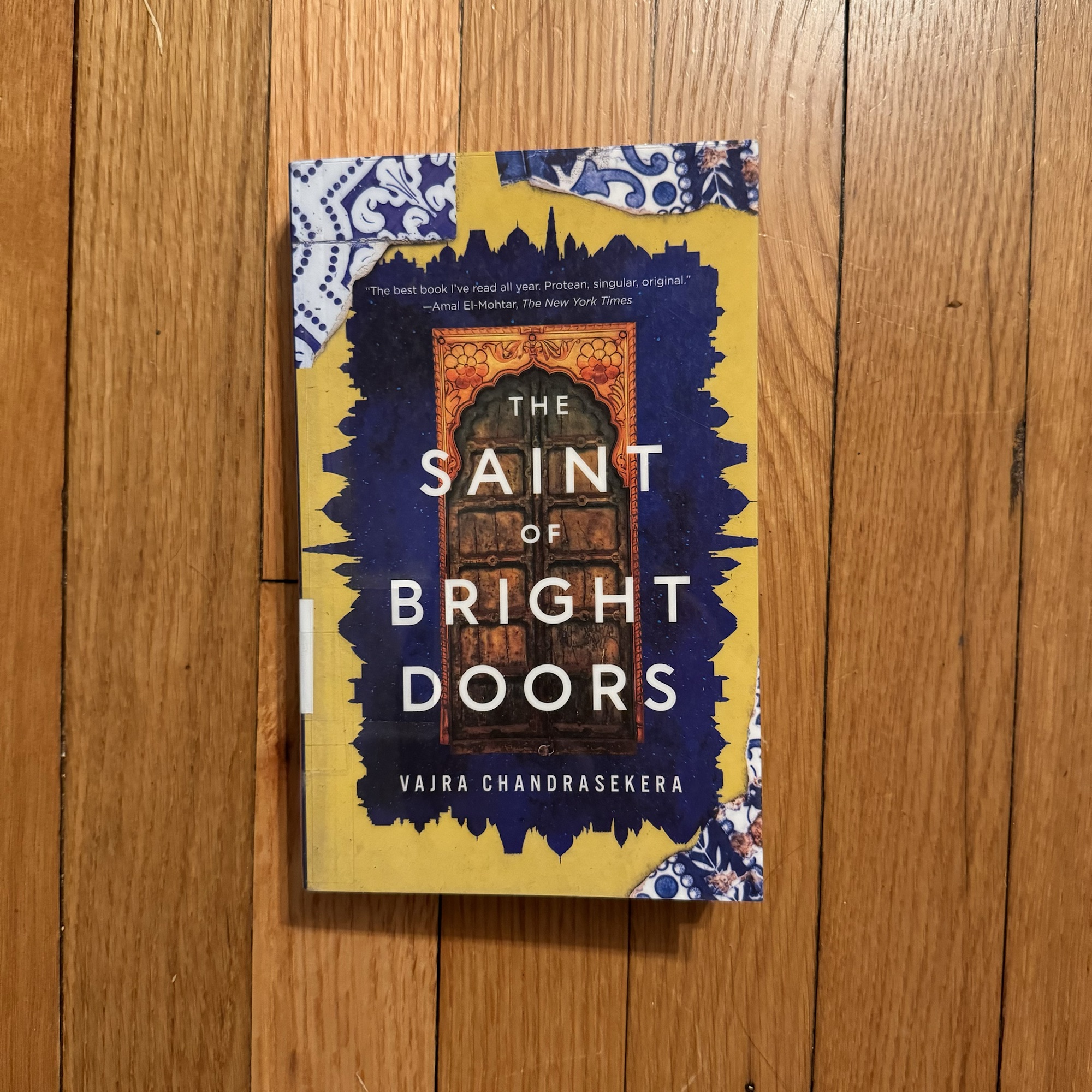 Book Review: The Saint of Bright Doors by Vajra Chandrasekera