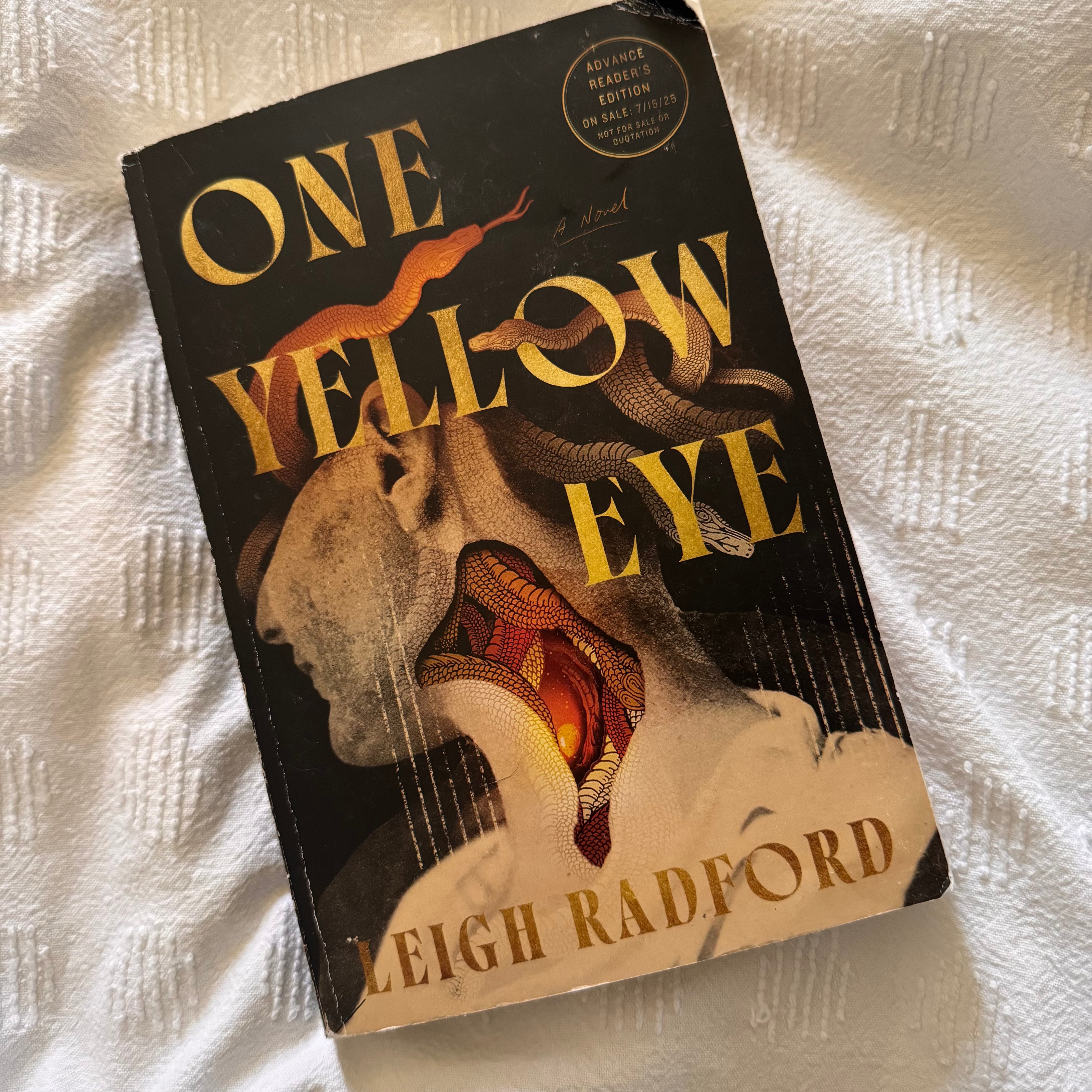 Book Review: One Yellow Eye by Leigh Radford